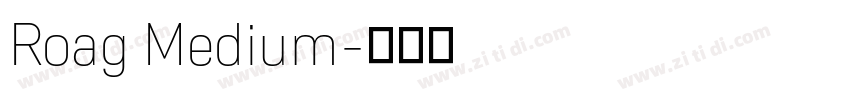 Roag Medium字体转换